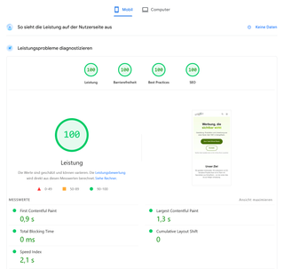 PageSpeed Insights Ergebnis Design Individuell Mobil